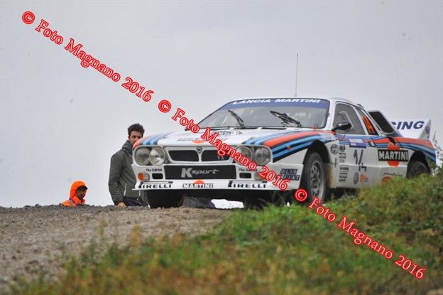 DSC_0335.JPG